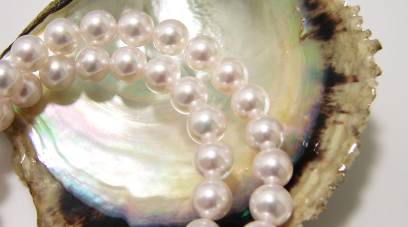 あこや真珠の魅力（あこや真珠ジュエリー） | Pearl for Life -真珠で ...