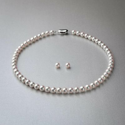 あこや真珠 (アコヤ真珠)ネックレス サイズ 7.0-8.0mm | Pearl for