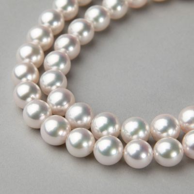 あこや真珠 (アコヤ真珠)ネックレス サイズ 7.0-8.0mm | Pearl for