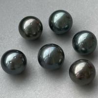 楽天市場】【ルース56】白蝶真珠 ゴールデン ルース シングル