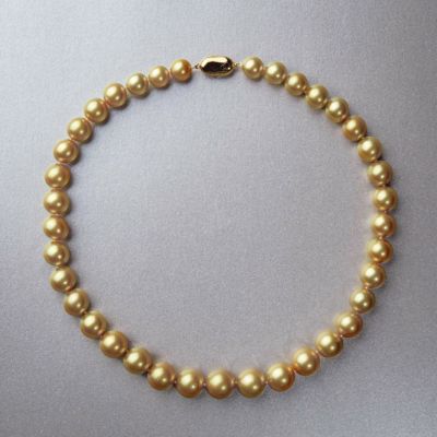 南洋白蝶真珠 ネックレス10.0-13.7mm ゴールデン | 南洋真珠ネックレス