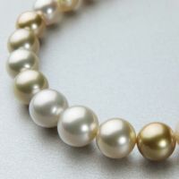 南洋白蝶真珠 ネックレス10.0-12.9mm ゴールド -Aurora Phoenix