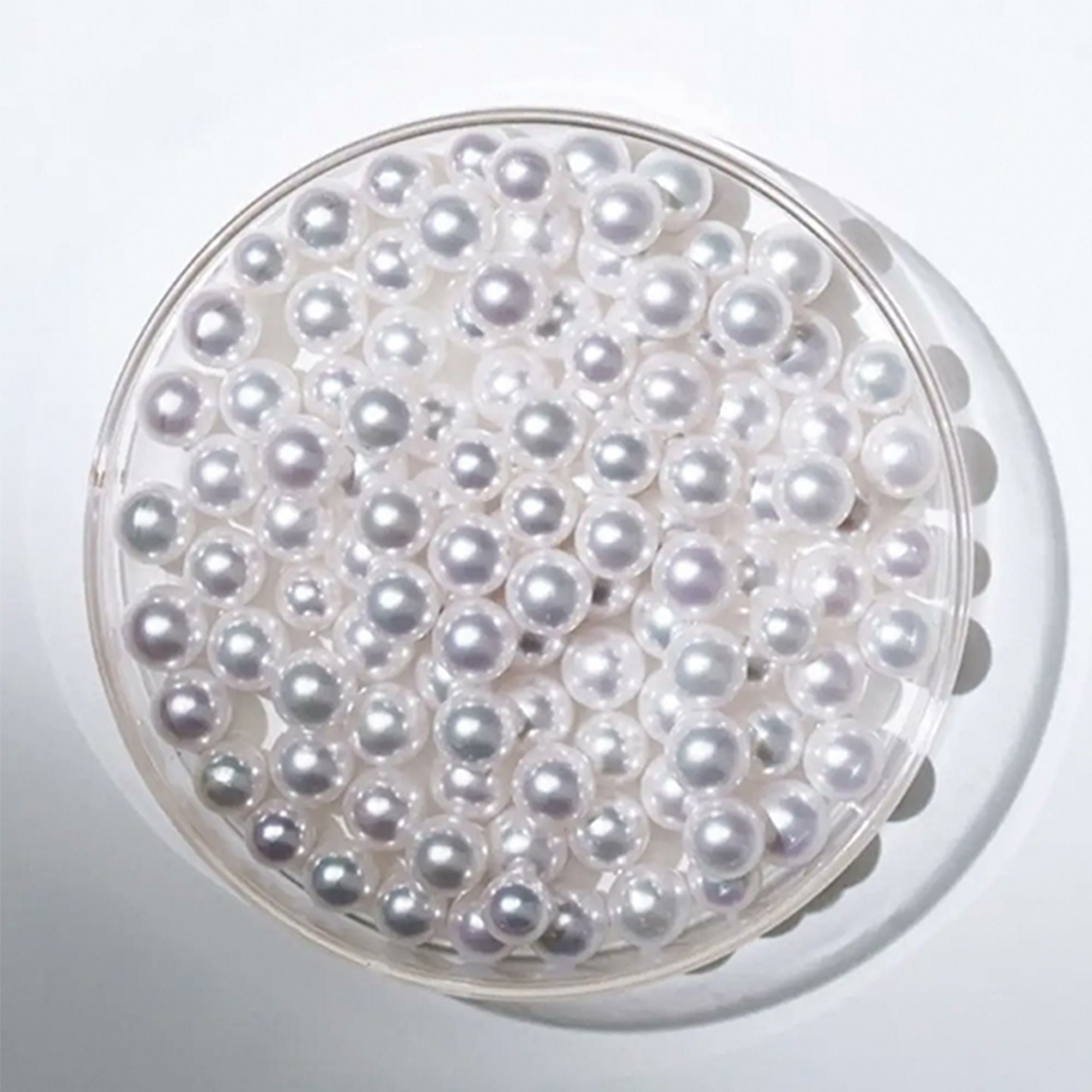 真珠抹茶「Akari（あかり）」2g×15本入り